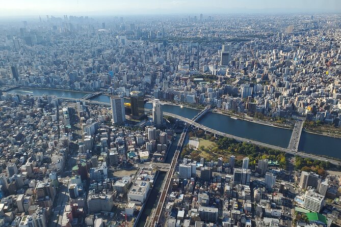 Full Day Tokyo Personalized Private Sightseeing W/English Driver - Accessibility and Additional Information