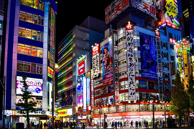 Full Day Tokyo Personalized Private Sightseeing W/English Driver - Directional Guidance and Meetup Details