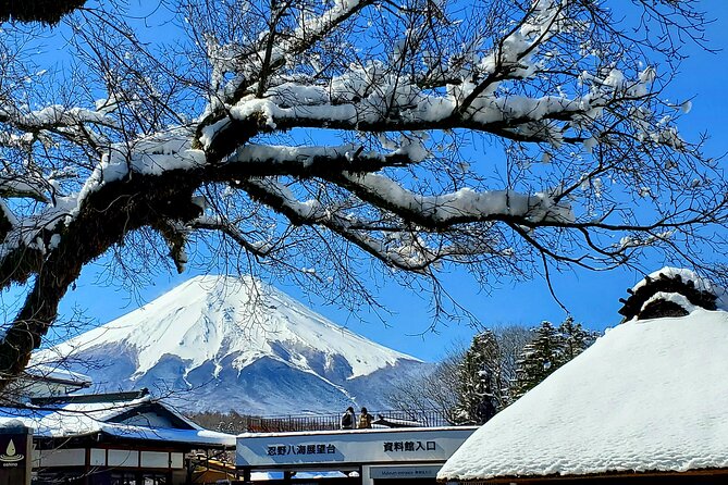 Full Day Private Guided Tour Mt. Fuji and Hakone - Key Takeaways