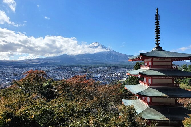 Full Day Private Guided Tour Mt. Fuji and Hakone - Important Reminders