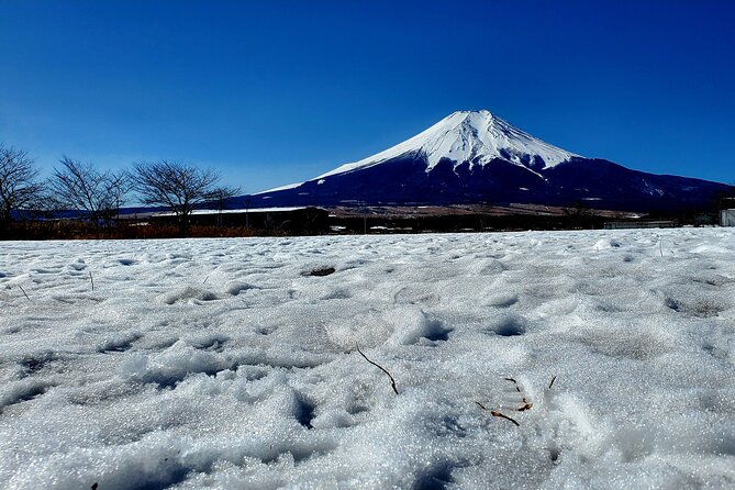 Full Day Private Guided Tour Mt. Fuji and Hakone - Customer Reviews