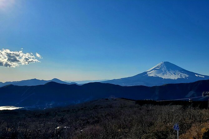 Full Day Hakone Private Tour With English Guide - Price and Booking Options