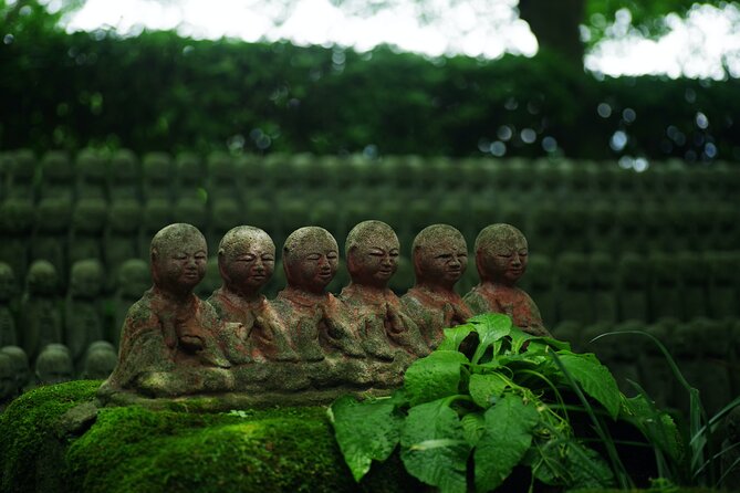 Kamakura Full Day Private Tour - Important Information