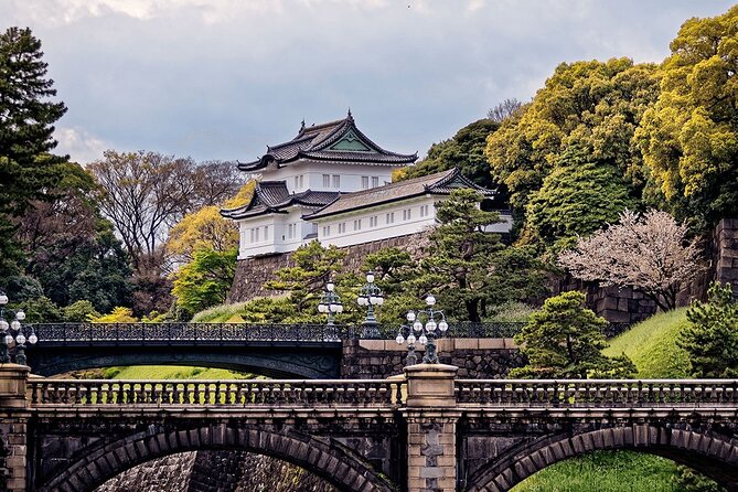 Private Customizable Tour in Tokyo - Price