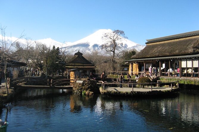 Private Customizable Tour in Mount Fuji - Additional Tips