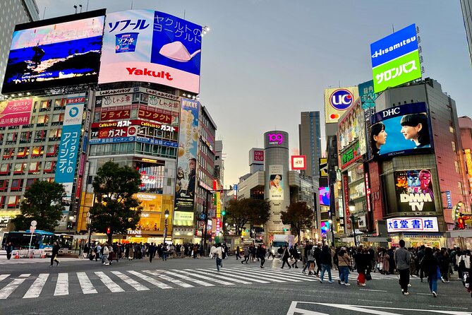 4 Hours Private Walking Tour in Tokyo - End Point and Inclusions