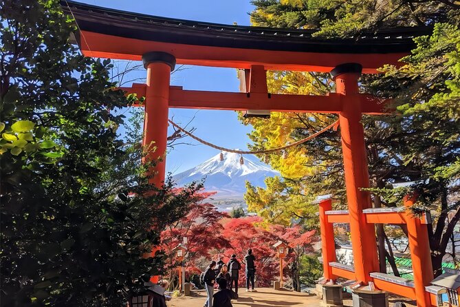 From Tokyo to Mount Fuji Instagram Worthy Full Day Tour - Tips