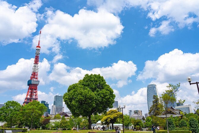 Legends and Landmarks: A Polaroid Journey Through Tokyo - Capture Memories With Polaroid Photography