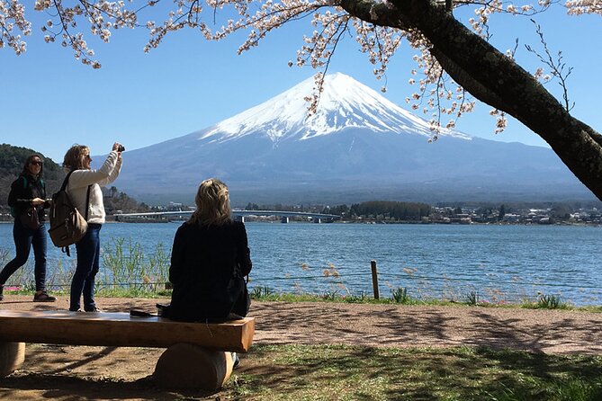 Private Guided Sightseeing Full Day Tour In Mt. Fuji And Hakone - Key Takeaways