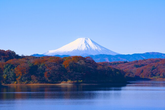 Private Mount Fuji and Hakone Tour With English Guide - Inclusions and Exclusions