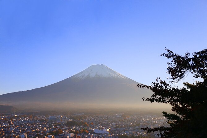 Private Mount Fuji and Hakone Tour With English Guide - Price Details