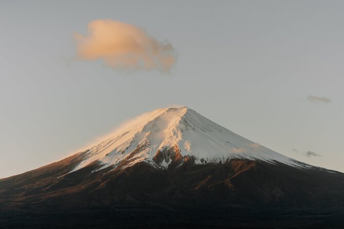 Private Mount Fuji and Hakone Tour With English Guide - What To Expect