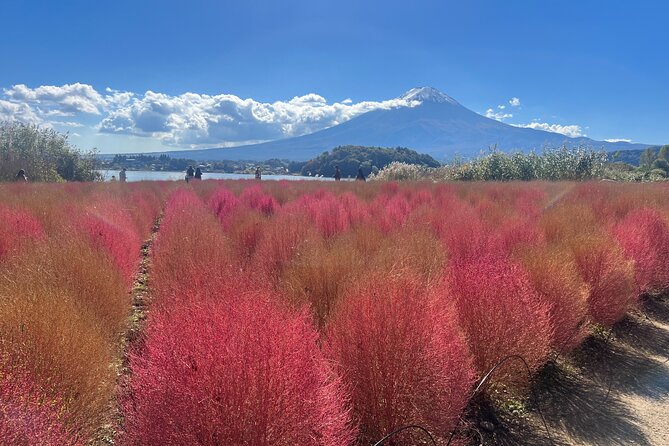 Private Full Day Tour in Mt. Fuji With Pickup - Travel Directions and Notes