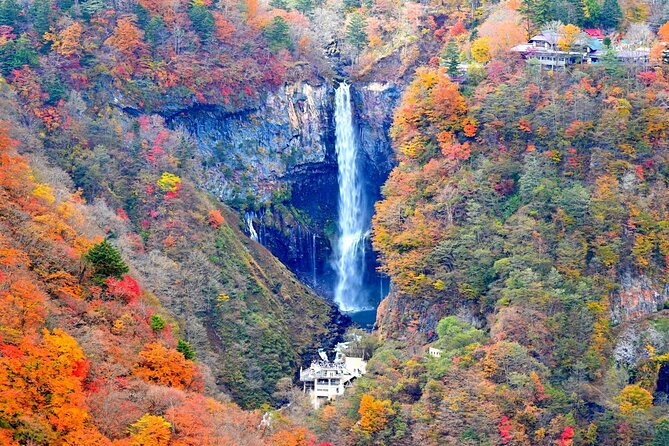 Nikko Tour From Tokyo With Licensed Guide via Private Car - Directions for Selecting Date and Travelers