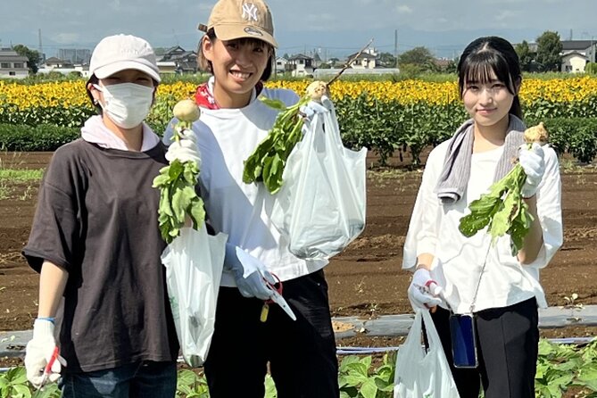 Kawagoe Sightseeing and Experience Tour to Harvest Local Foods - Pickup Information