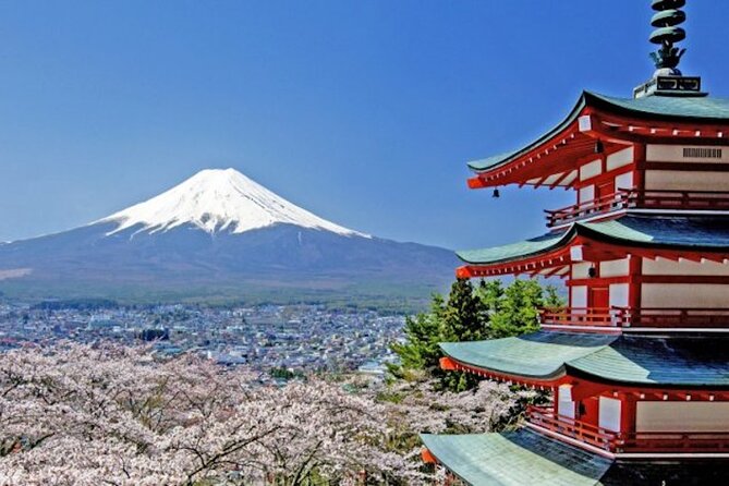 Best Price for 2-6 People! Mt Fuji & Natural Water Private Tour - Key Takeaways