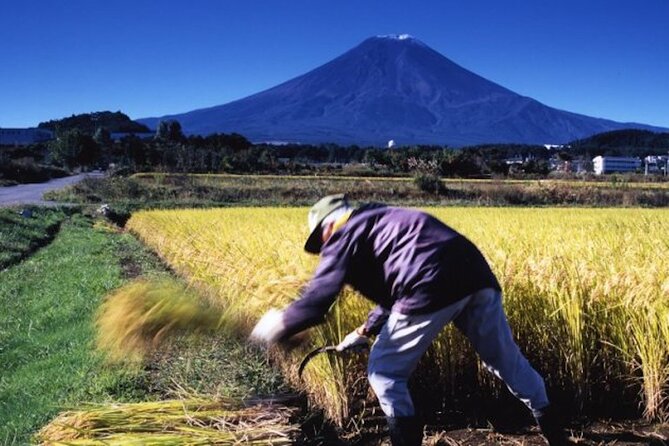 Best Price for 2-6 People! Mt Fuji & Natural Water Private Tour - Conclusion