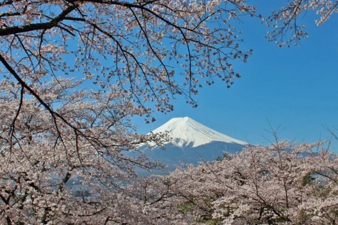 Best Price for 2-6 People! Mt Fuji & Natural Water Private Tour - Frequently Asked Questions