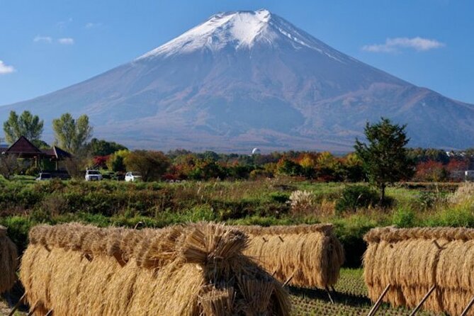 Best Price for 2-6 People! Mt Fuji & Natural Water Private Tour - Directions and Confirmations