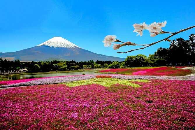 Full Day Private Tour in Mt. Fuji and Hakone - Pickup and Drop-off Details