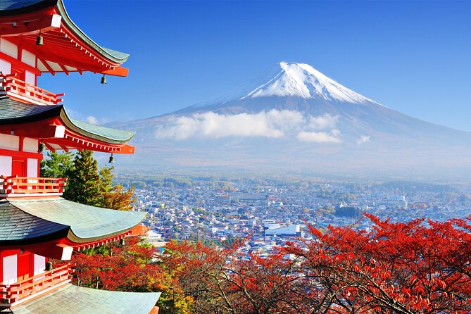 Full Day Private Tour in Mt. Fuji and Hakone - Conclusion