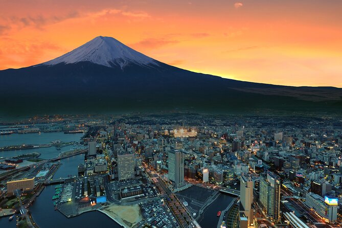 Full Day Private Tour in Mt. Fuji and Hakone - Pricing and Booking Information