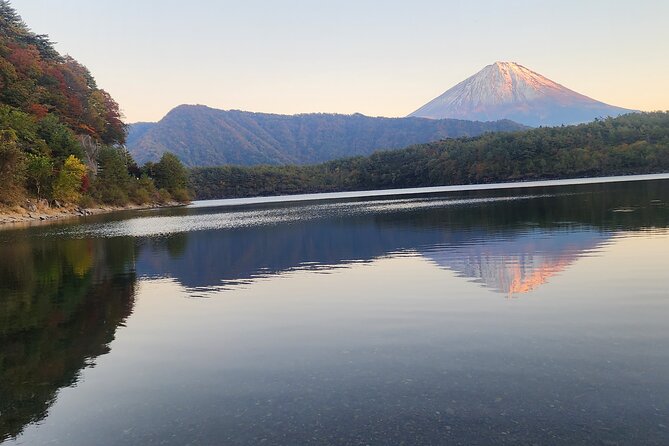 1 Day Private Mount Fuji Tour With English Speaking Driver - Accessibility Details