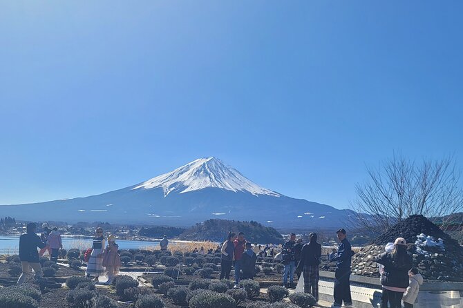 1 Day Private Mount Fuji Tour With English Speaking Driver - Meal Inclusions