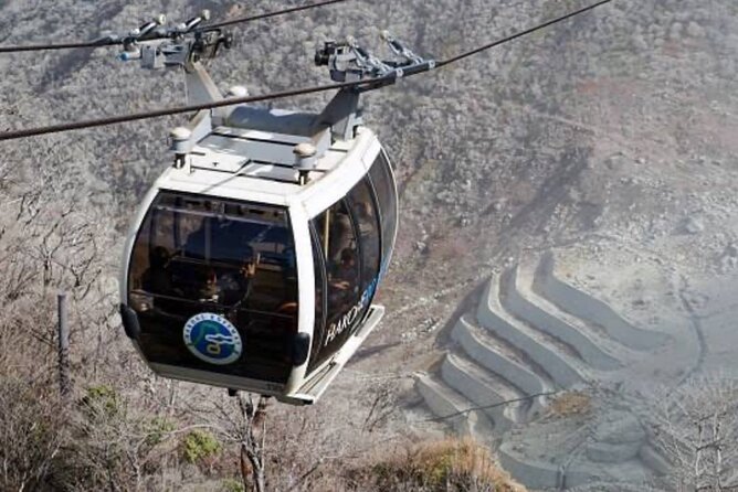 MT Fuji and Hakone Private Group Tour (Upto 9 Persons) by Hiace - Additional Services