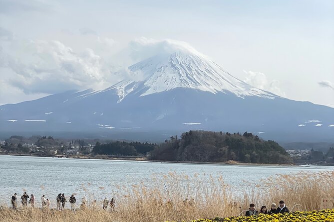 1 Day Fully Customized Tour to Mt Fuji With English & Hindi Speak - Itinerary Highlights