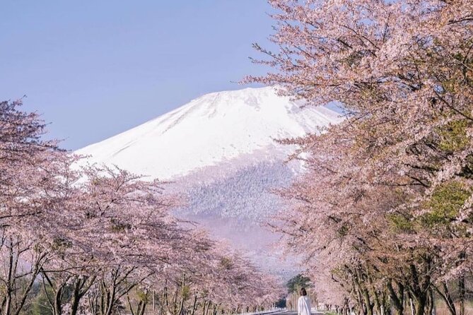 1 Day Fully Customized Tour to Mt Fuji With English & Hindi Speak - Accessibility Information