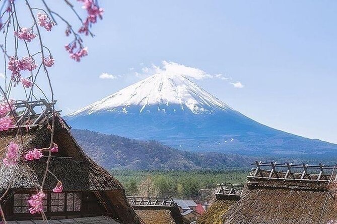 1 Day Fully Customized Tour to Mt Fuji With English & Hindi Speak - Booking Information