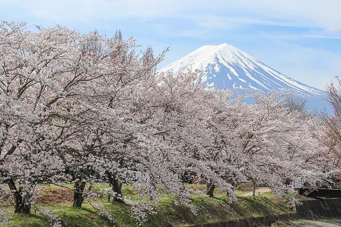 1 Day Fully Customized Tour to Mt Fuji With English & Hindi Speak - Customer Reviews