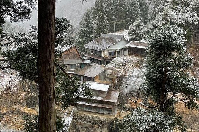 One Day Tour to Snow Monkey and Zenkoji Temple Sake in Nagano - Inclusions