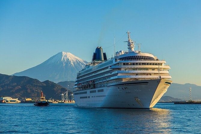 One Day Private Tour Around Shimizu Port for Cruise Passengers - Key Takeaways