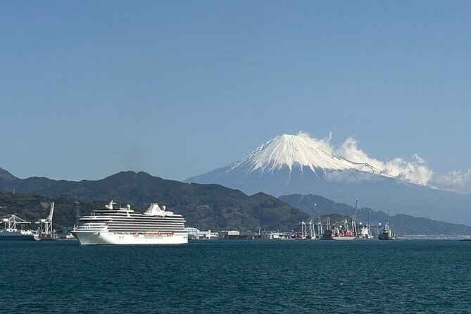 One Day Private Tour Around Shimizu Port for Cruise Passengers - Additional Information