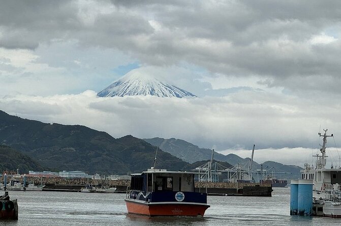 One Day Private Tour Around Shimizu Port for Cruise Passengers - What To Expect