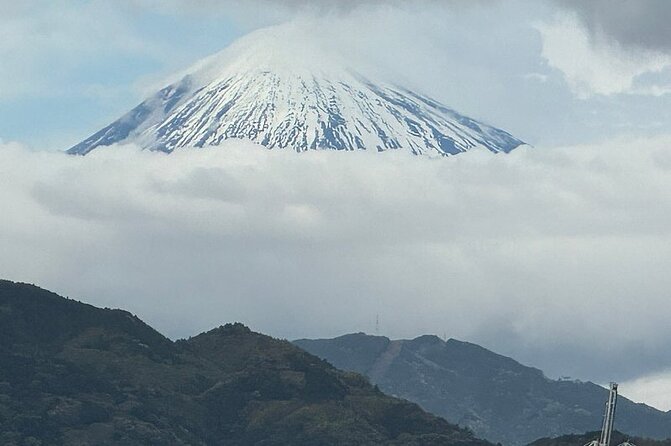 One Day Private Tour Around Shimizu Port for Cruise Passengers - Frequently Asked Questions