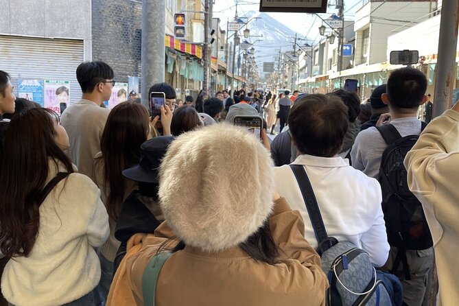 View of Mt. Fuji, Chureito Pagoda and Hakone Cruise Day Trip - Inclusions and Exclusions