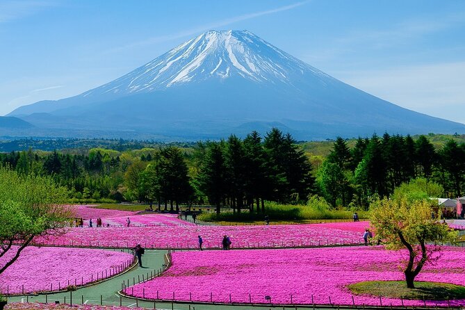 View of Mt. Fuji, Chureito Pagoda and Hakone Cruise Day Trip - Cancellation Policy and Refunds