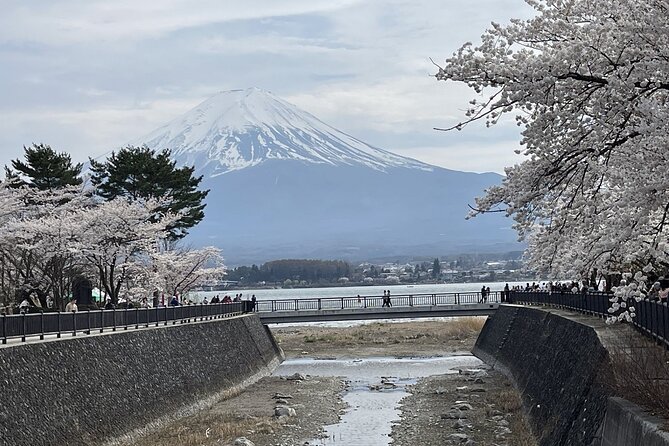 Mt. Fuji and Lake Kawaguchi Sakura Festival Sightseeing Tour - Weather Contingency Plan