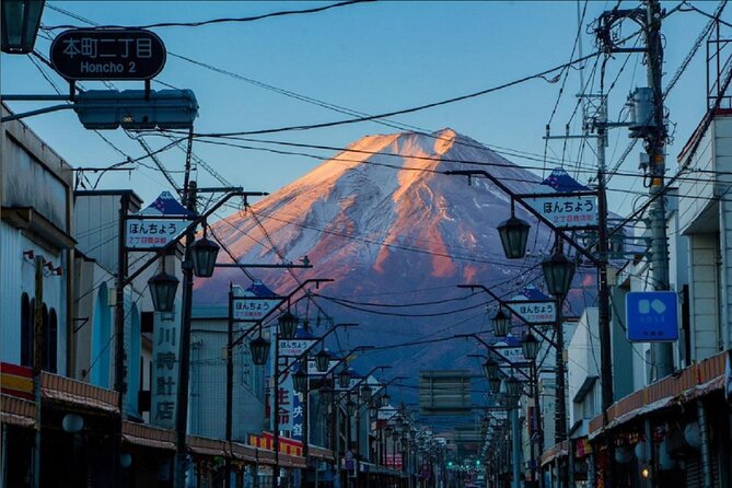 Mt. Fuji and Lake Kawaguchi Sakura Festival Sightseeing Tour - Transportation Logistics