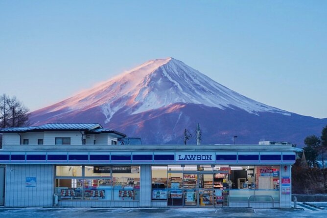 Mt. Fuji and Lake Kawaguchi Sakura Festival Sightseeing Tour - Refund and Cancellation Policy