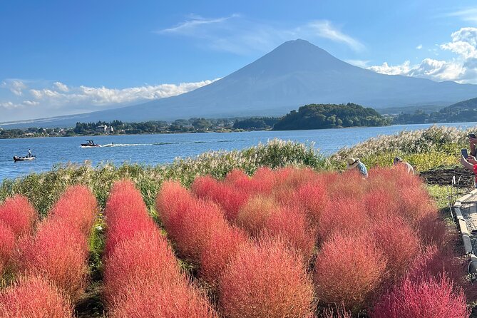 Full Day Private Tour in Mount Fuji and Hakone - Key Takeaways