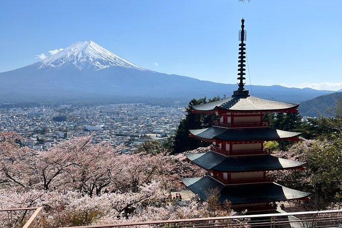 Full Day Private Tour in Mount Fuji and Hakone - Reviews