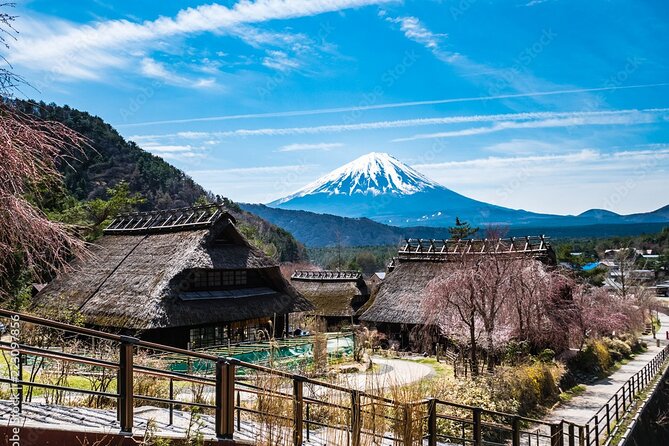 MT Fuji Sightseeing Customized Private Day Tour Up-to 9 Persons - What to Expect