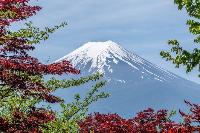 Full Day Private Tour to Mount Fuji and Hakone - Tour Details