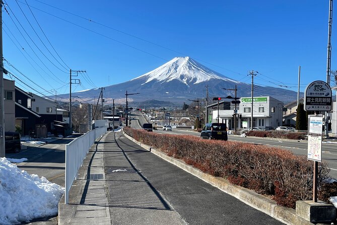 Mt FUJI - Panoramic Tour With Hoto Lunch Sake Samplings and Onsen - Lunch Experience