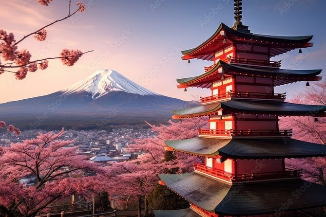 Mt Fuji Private Trip With English Speaking Driver - Inclusions and Exclusions