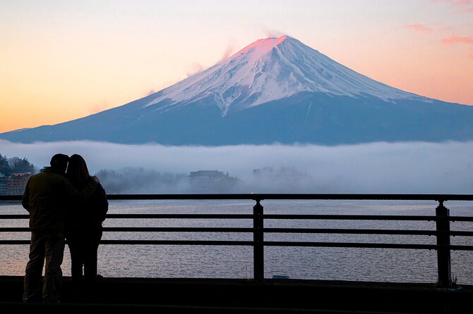 Mt Fuji Private Trip With English Speaking Driver - Private Tour Experience